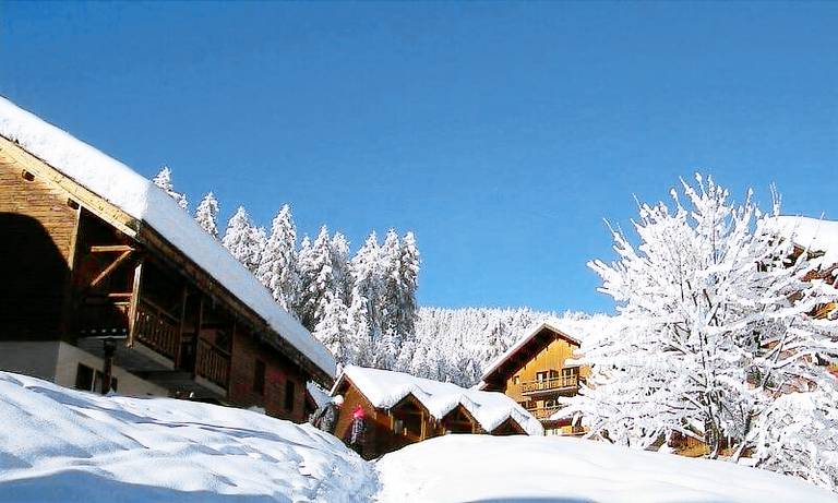 Beautiful apartment with fast internet & sauna | Ski nearby | Dogs allowed — photo 4