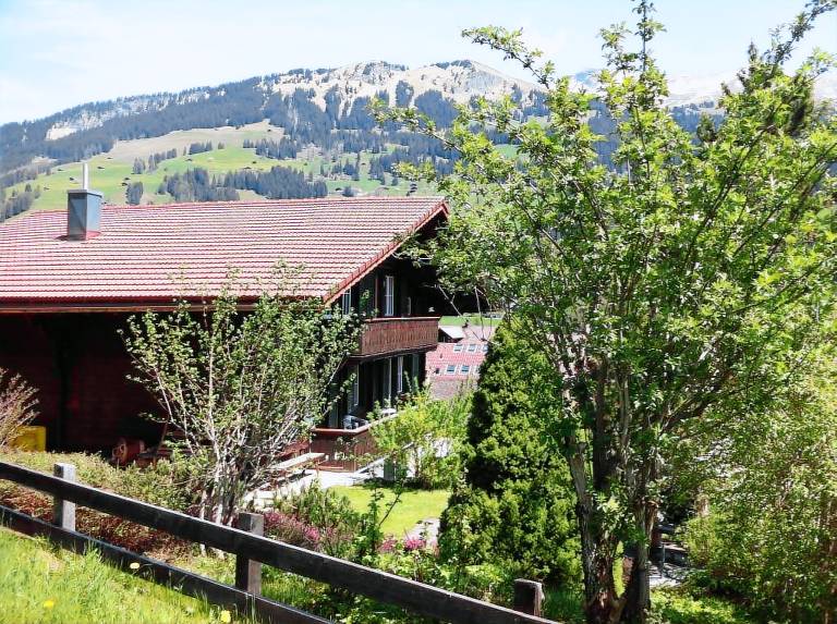 Ferienwohnung  Lenk