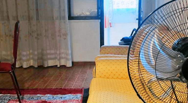 Holiday apartment | Pets are welcome — photo 4