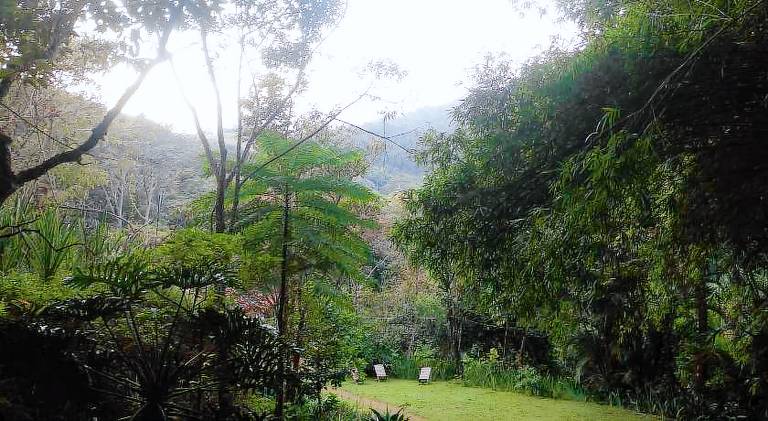 Chale na floresta com frigobar — photo 4