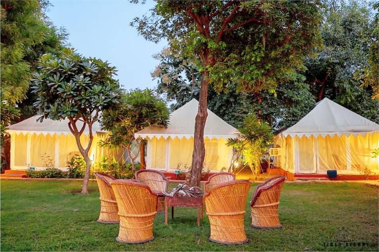 RANTHAMBORE TIGER RESORT