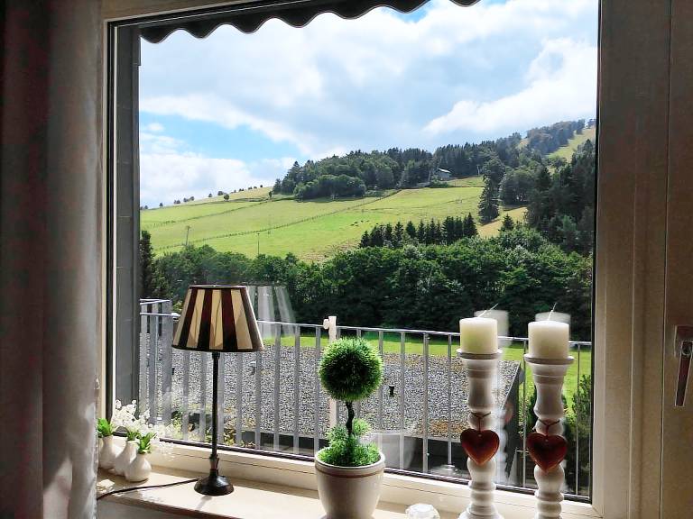 Ferienwohnung Willingen (Upland)