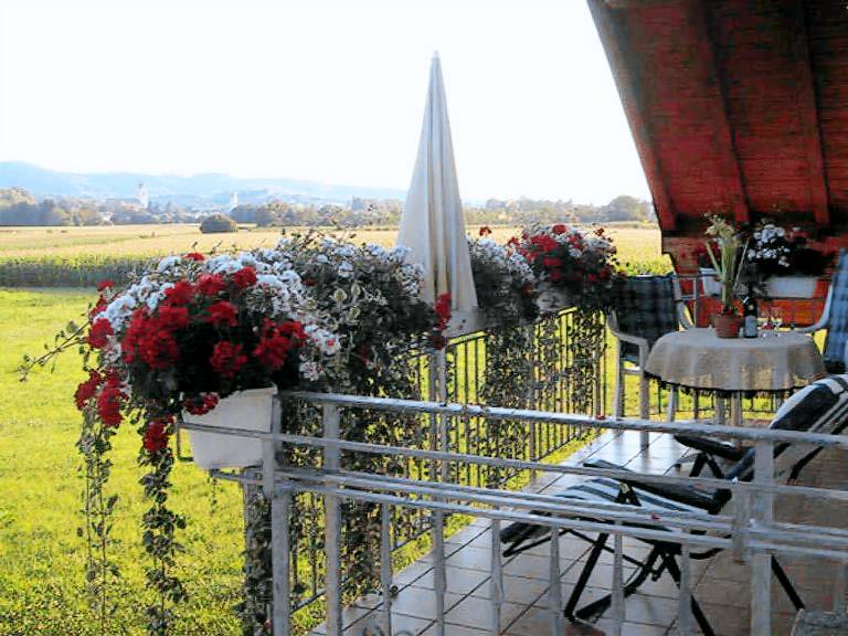 Ferienwohnung  Bahlingen am Kaiserstuhl