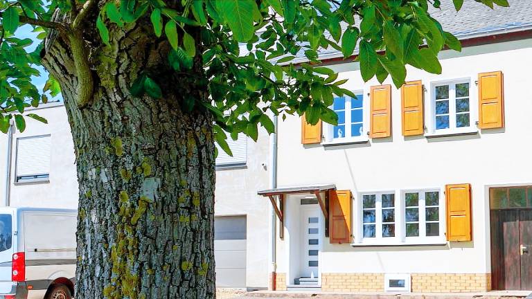 Ferienhaus Schweich