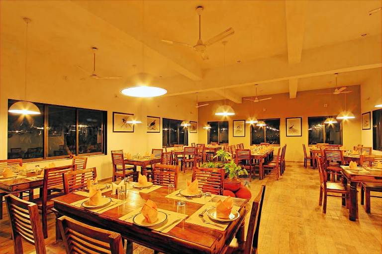 Gir Birding Lodge — photo 2