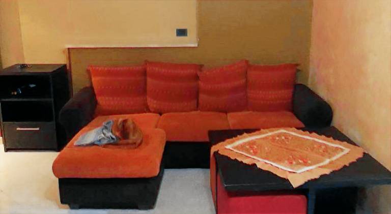 Pleasant holiday apartment | Pets are welcome in Trezzano sul Naviglio