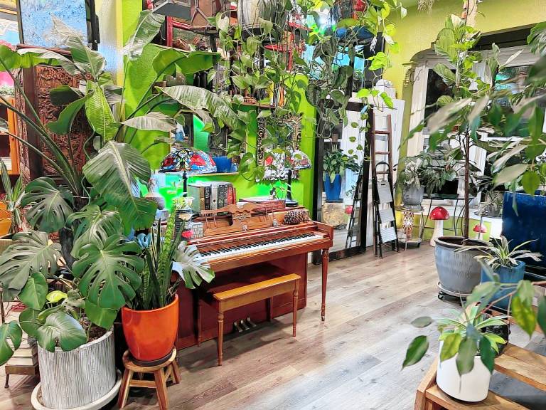 Bed & Breakfast  San Francisco