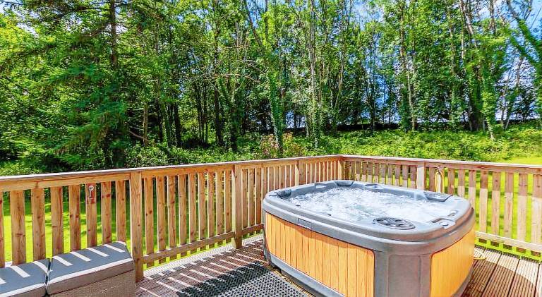 Chalet with jacuzzi — photo 3