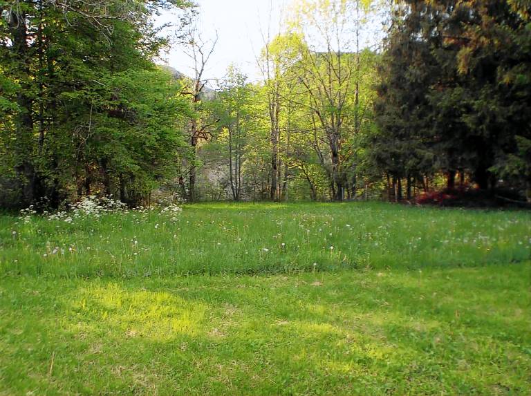 Nice gite with garden & terrace | Pet-friendly — photo 3