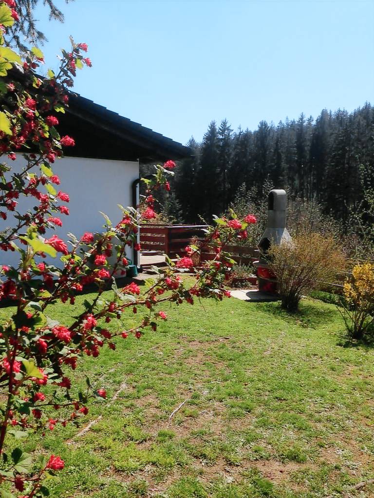Vacation home with barbeque in Lenzkirch
