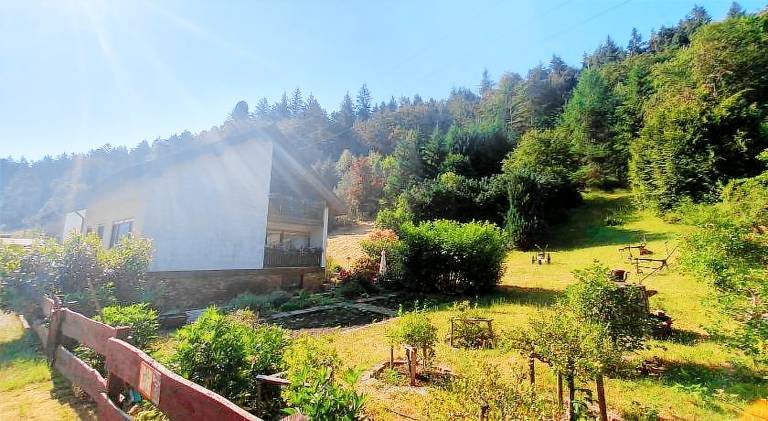 Pension Ernst im Herzen des Pfalzerwaldes mit Kuche in Bad Duerkheim