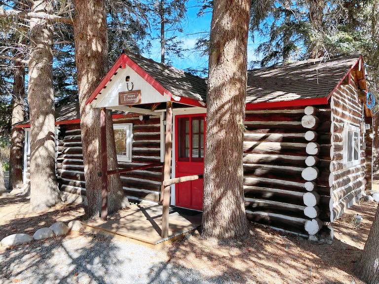 Cabin  Almont