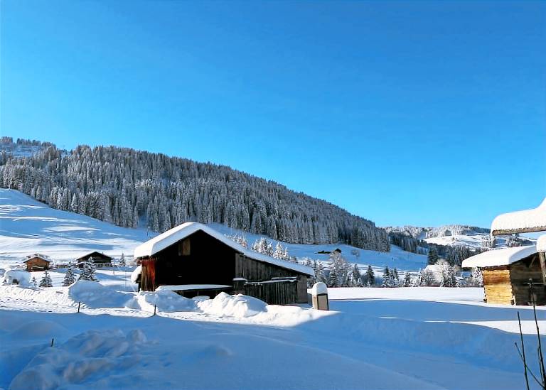 Chalet  Crest-Voland