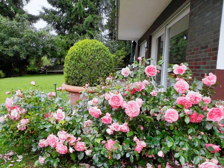 Rental apartment with terrace & garden | Nature view — photo 4