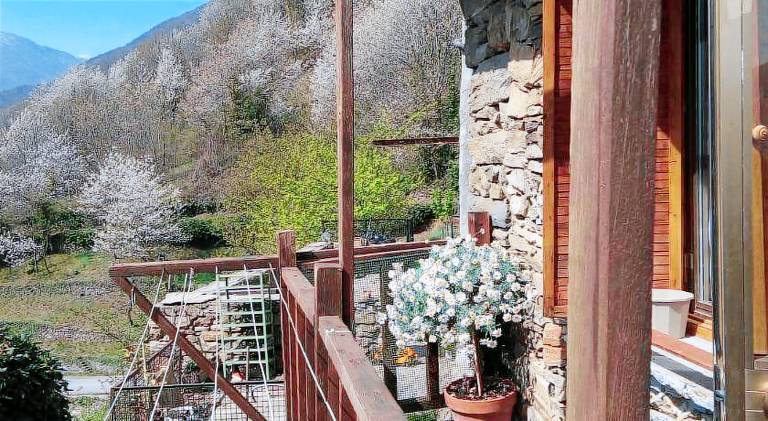 Chalet with 1 room for 4 persons — photo 4