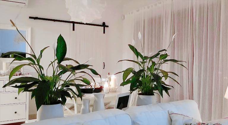 Apartament  Zielona Góra