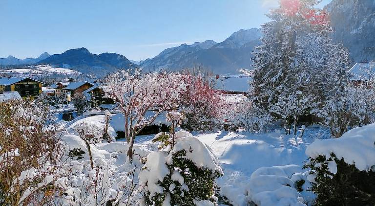 Sunrise Belvedere Pfronten — photo 3