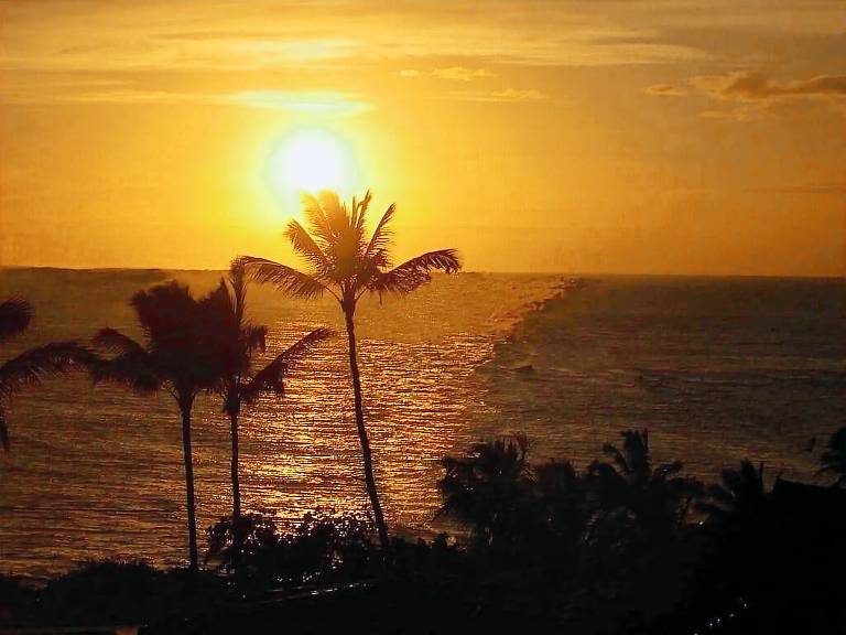 Apartment Poipu