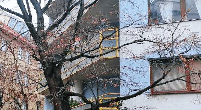 Rental apartment | Near Grassalkovich Palace | Pet-friendly — photo 5