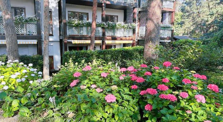 Rental apartment with 1 room for 4 persons — photo 5