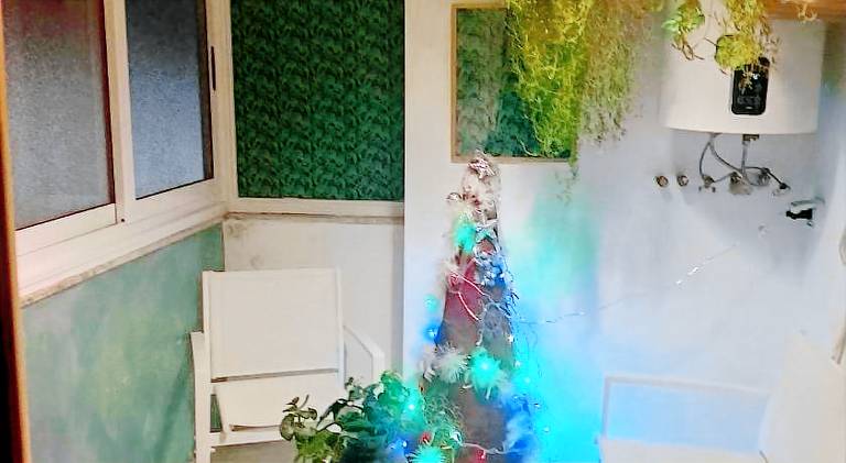 Holiday apartment | Pets allowed — photo 5