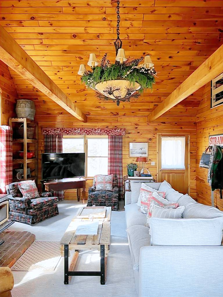 Cabin Willard