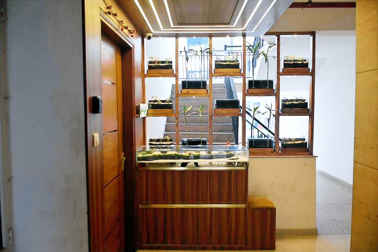 Apartment  Arjunganj
