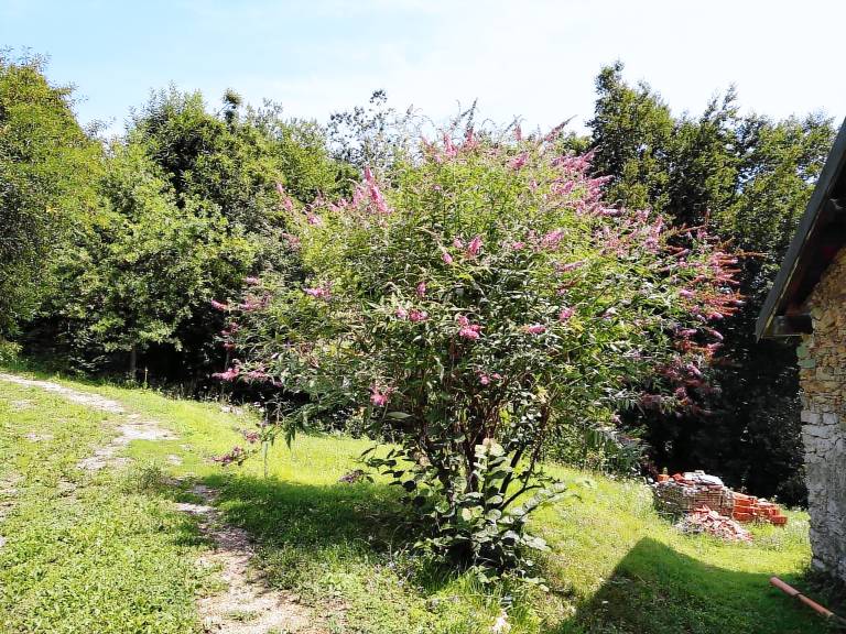 Holiday Home 'Ca' Rionda' with Mountain View, Private Garden and Wi-Fi — photo 3