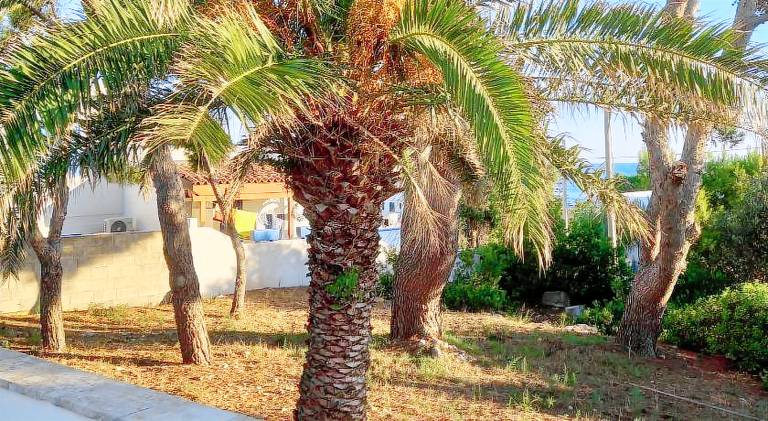 Vacation home with 2 rooms for 6 persons — photo 2