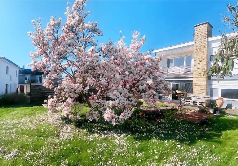Ferienwohnung  Radolfzell am Bodensee