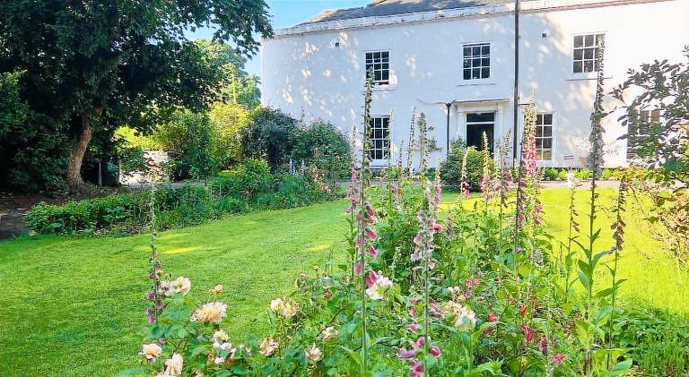 The Pink House — photo 2