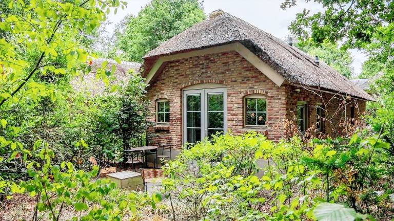 Ferienhaus für 3 Personen 45 m² in Emelo