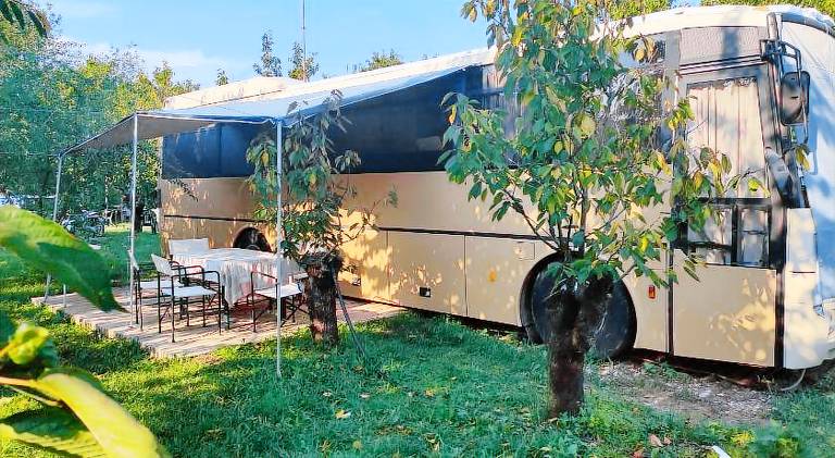 TerrebioBus — photo 4