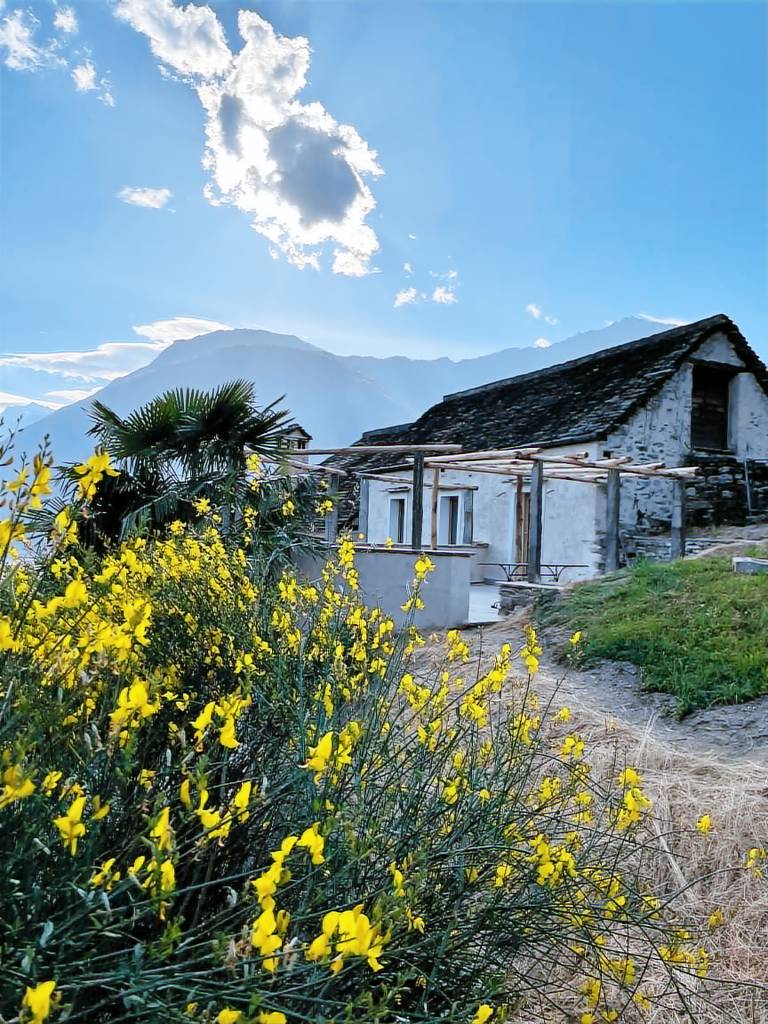 Ferienwohnung Oira