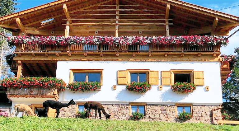 B&B Belvedere in Ville di Fiemme