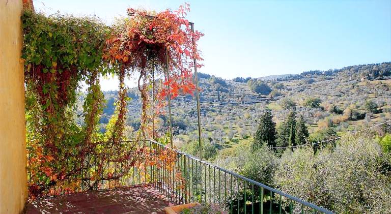 House with garden & terrace — photo 5