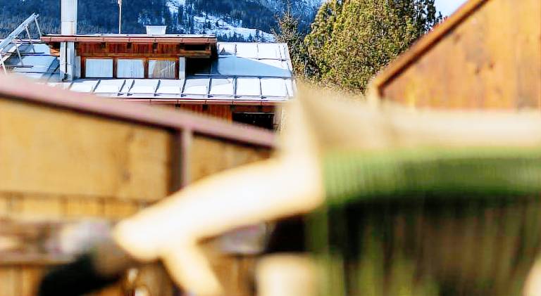 Le Gemme - Dolomites escape — photo 4
