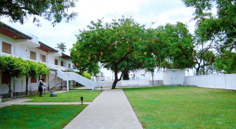 foto2