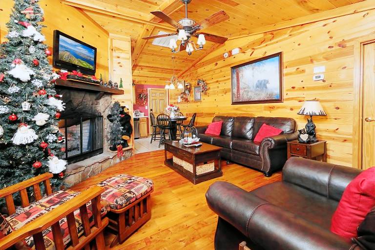 Bring Your Fur Babies and Relax in the Hot Tub! - Bear End — photo 4