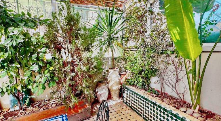 House | Close to Bou Inania Madrasa | Pets allowed — photo 4