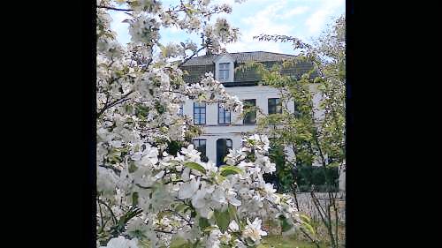 Bed and breakfast Tielt