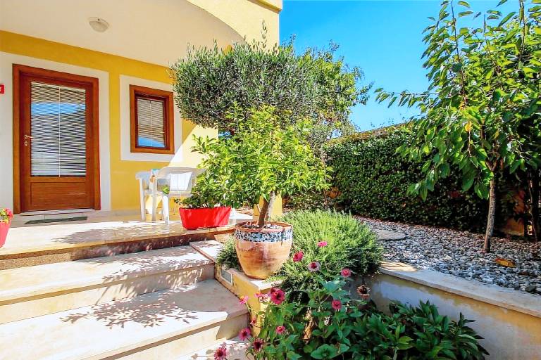 Apartment Novigrad