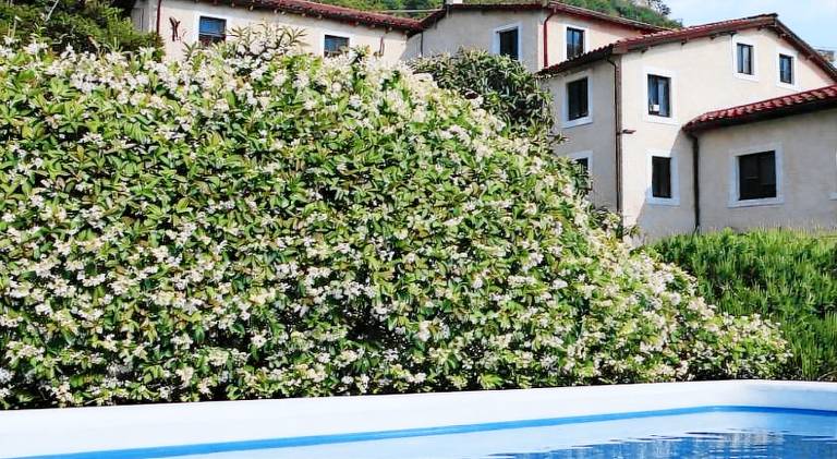 House with pool — photo 3