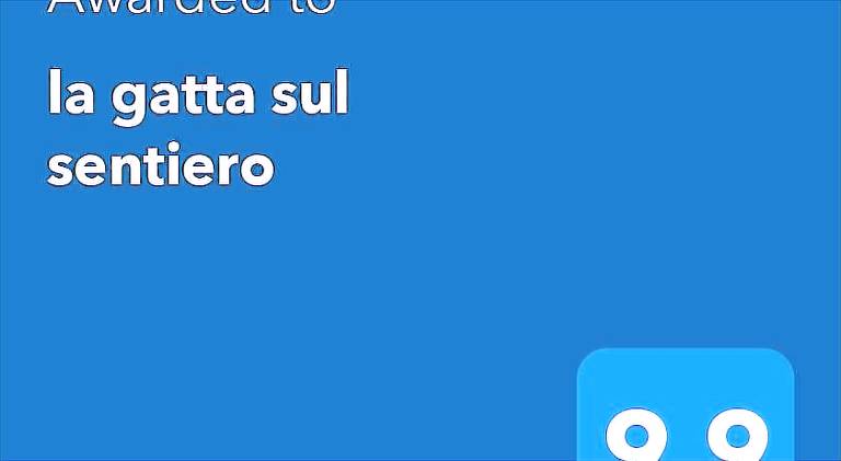 La gatta sul sentiero in Chiavari