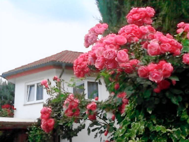 Ferienwohnung Reute