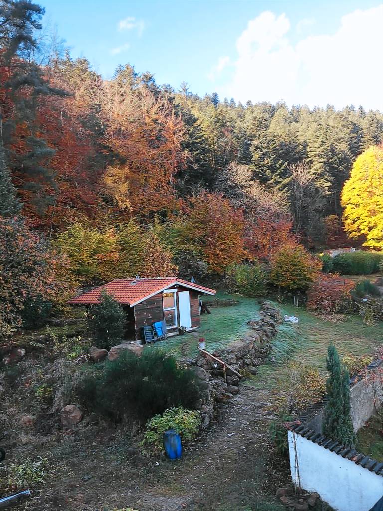 Chalet Wangenbourg-Engenthal