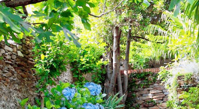 Bed & Breakfast Pinerolo
