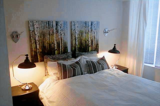 Trendy Queen West Area FIFA rental