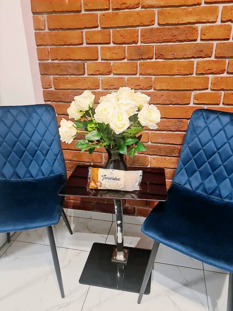 Apartment | Perfect for remote work in Torun