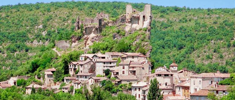 Maison de vacances Gaillac